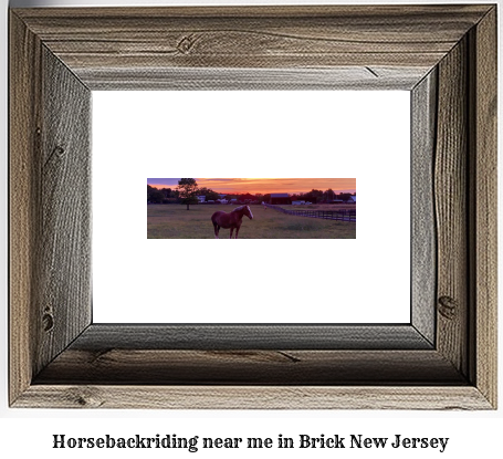 horseback riding near me in Brick, New Jersey